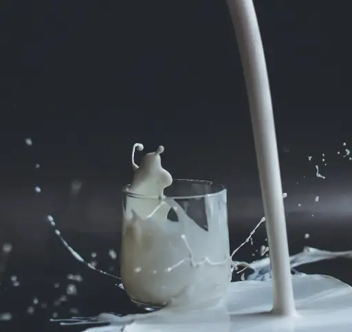 DUDH
